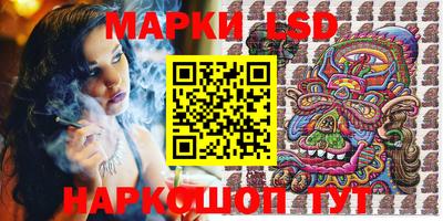 шишки Котовск