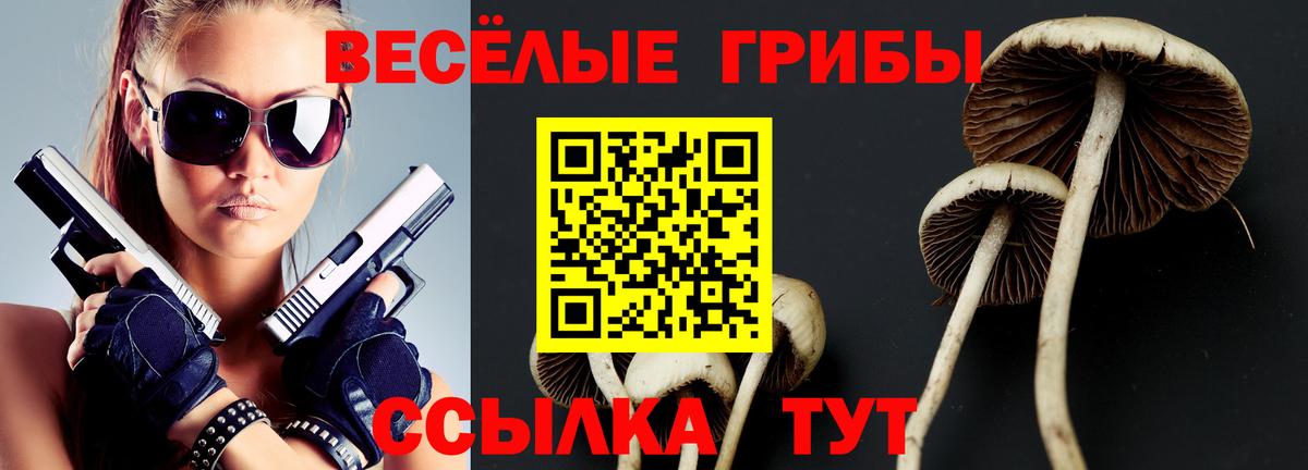 Галлюциногенные грибы мицелий  Вход с VPN  Серов 